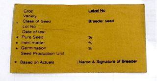 Picture of Breeder Seed Tag