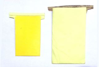 Picture of Yellow Metal fold Seed Packet