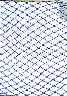 Picture of Bird Protection Net
