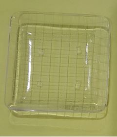 Picture of Nematode counting dish acrylic