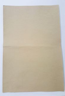 Picture of Seed Germination Paper