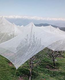 Picture of Anti-Hail Net